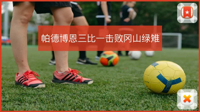 帕德博恩三比一击败冈山绿雉